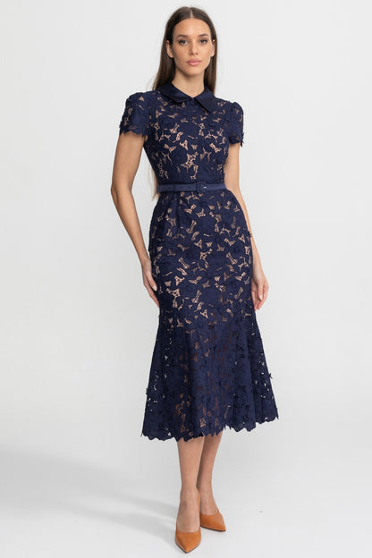 Lace Collared Short Sleeve Midi Dress