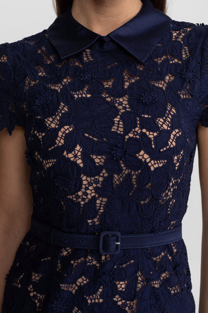 Lace Collared Short Sleeve Midi Dress