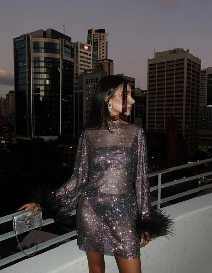 Mesh Long Sleeve Feather Mini Dress