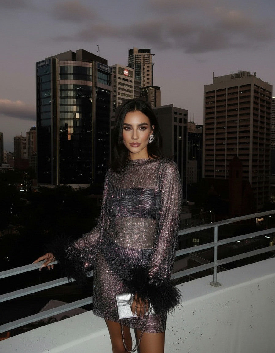Mesh Long Sleeve Feather Mini Dress