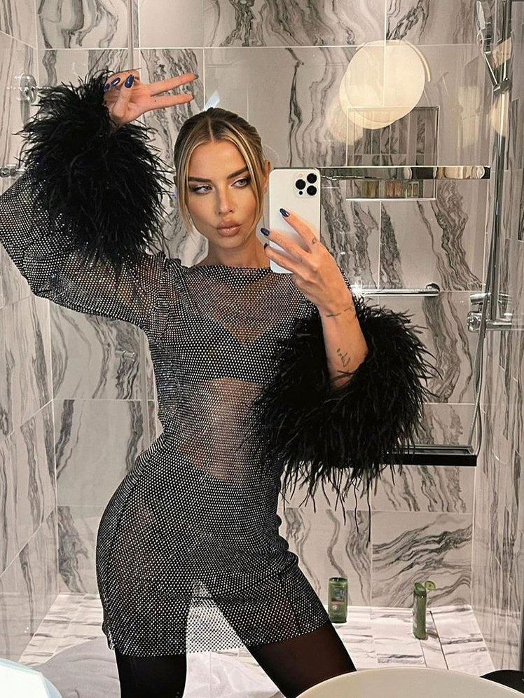 Mesh Long Sleeve Feather Mini Dress