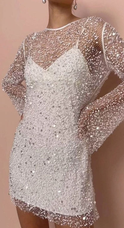 Sequin Mesh Long Sleeve Mini Dress