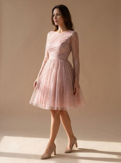 Tulle Long Sleeve Pleated Mini Dress