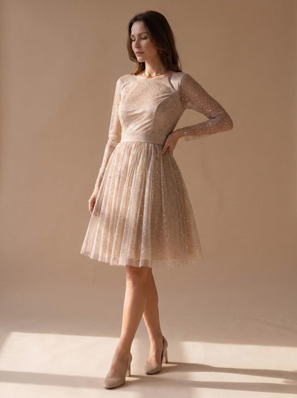 Tulle Long Sleeve Pleated Mini Dress