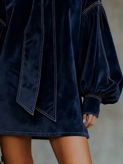Velvet Tie Neck Balloon Sleeve Mini Dress